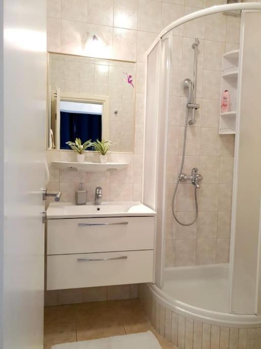 Apartments Regina โบล ภายนอก รูปภาพ