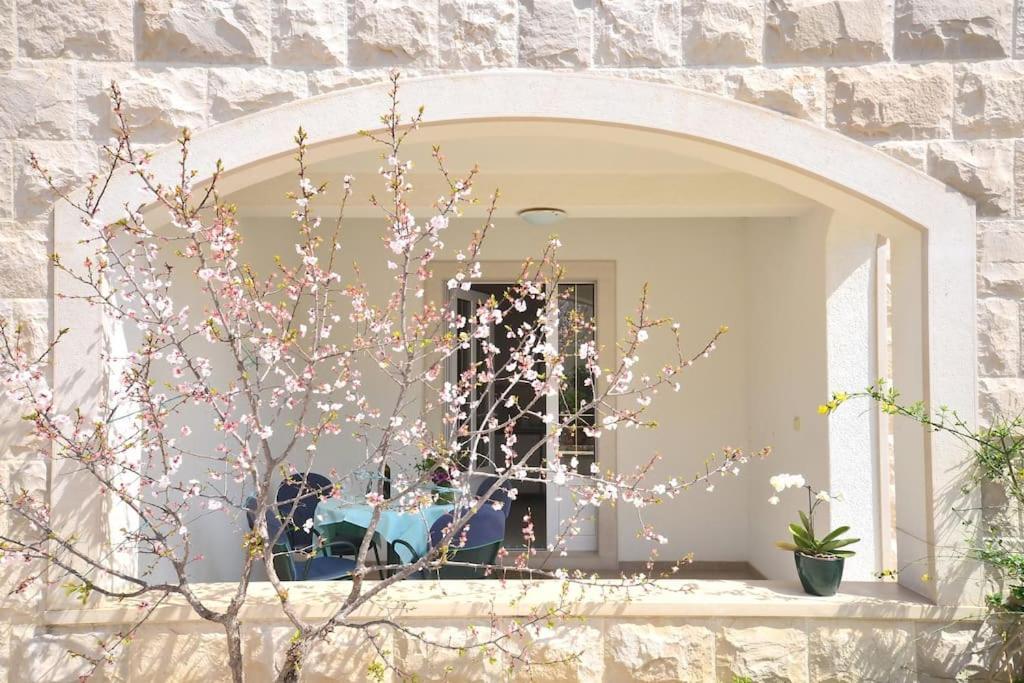 Apartments Regina โบล ภายนอก รูปภาพ